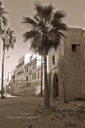 Image du Maroc Professionnelle de  La fameuse Porte de la Marine ou Bab El Marsa de la Médina de Casablanca, le passage obligé des personnes et des marchandises jusqu'à l'ouverture du boulevard Félix Houphouët-Boigny pour l'arrivée du président de la République française Alexandre Millerand qui effectuait en 1922 un voyage au Maroc et dans les pays de l'Afrique du nord, Mardi 22 Septembre 2009. (Photo / Abdeljalil Bounhar)